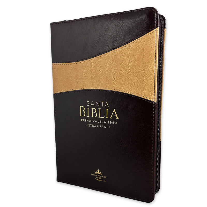 Biblia para jovenes  con Cierre Letra Grande 12 puntos RV1960 imit piel duotono café