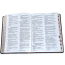 Biblia letra gigante 19 puntos Reina valera 1960 imitacion piel cafe clasica con indice