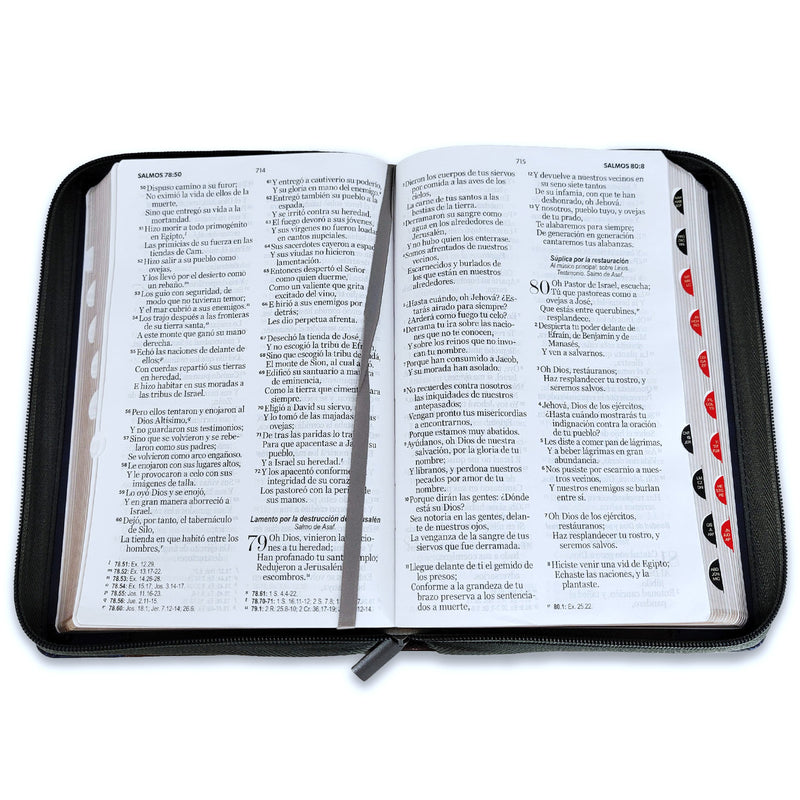 Biblia con Cierre Letra Grande 12 puntos RV1960 imit piel tricolor marrón/gris/con indice