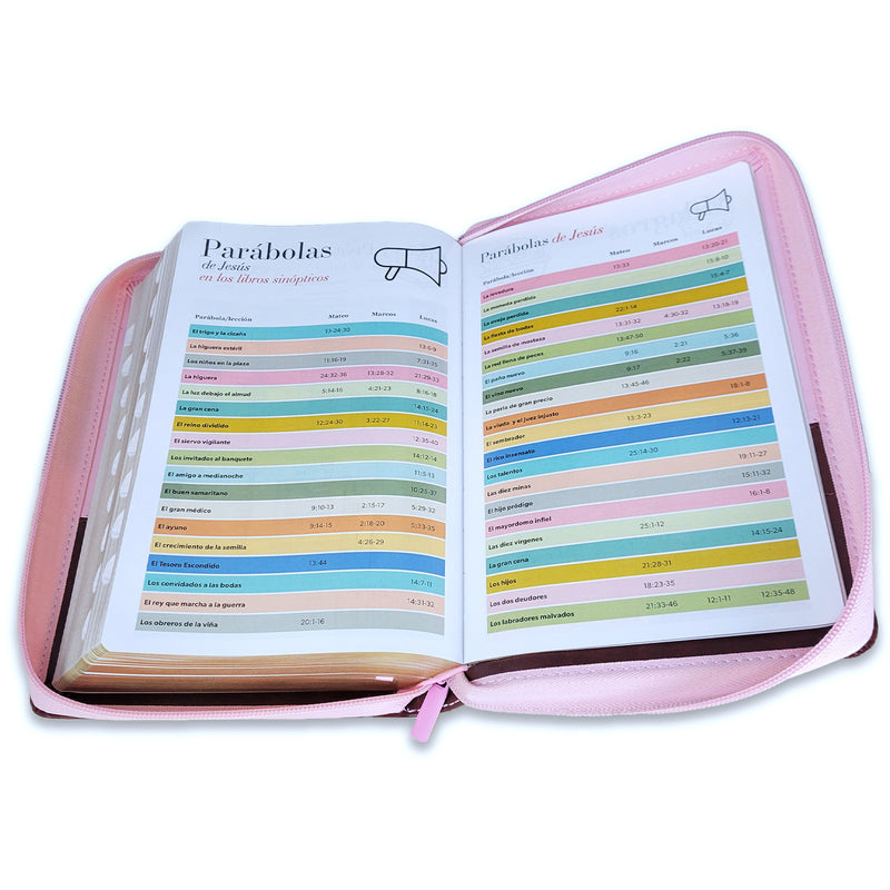Biblia con Cierre Letra Gigante Manual 14 puntos RV1960 imit piel duotono rosa y café mariposas con índice
