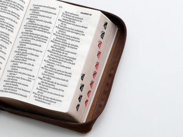 Biblia con Cierre Portátil 12 puntos RV1960, imit piel café águila con índice