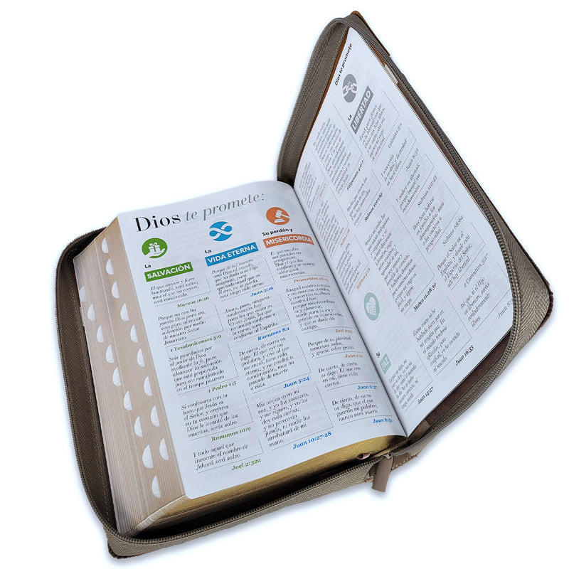 Biblia con Cierre Letra Súper Gigante Manual 19 puntos RV1960 duotono café y beige con índice