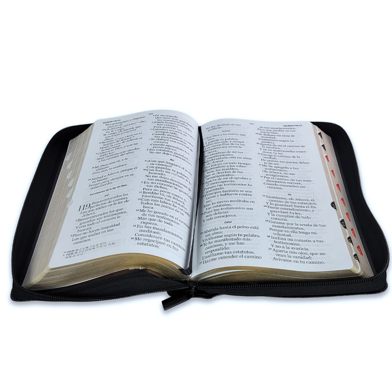 Biblia con Cierre Letra Gigante Manual 14 puntos RV1960 imit piel león y cordero negro con índice