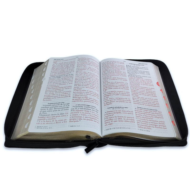 Biblia con Cierre Letra Gigante Manual 14 puntos RV1960 imit piel león y cordero negro con índice