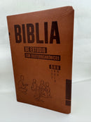 Biblia De Estudio Dios Habla Hoy Con Deuterocanónicos piel imitacion