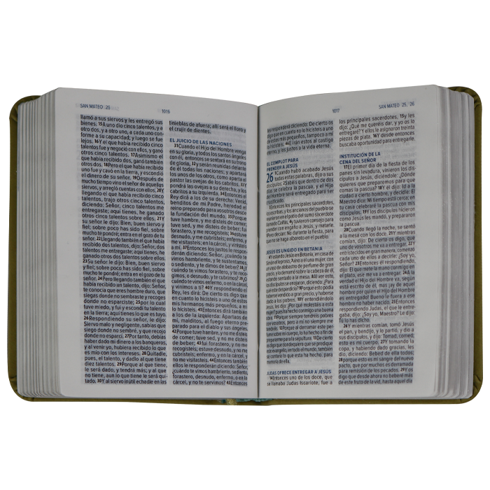 Mini Biblia tamano bolsillo Reina Valera 1960 Piel Imitación Verde