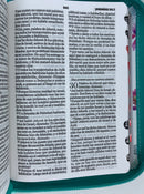 Biblia tamaño bolsillo Reina Valera 1960 para mujer cirre índice mariposas conto pintado