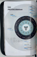 Bíblia letra grande 12 puntos  reina valera 1960 leon gris  con índice cierre