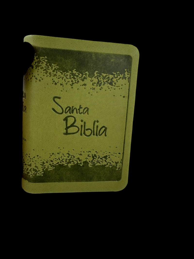 Mini Biblia tamano bolsillo Reina Valera 1960 Piel Imitación Verde