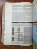 Biblia de Estudio Trasfondo Cultural, RVR Leathersoft, letra Rojo Vino,CON INDICE