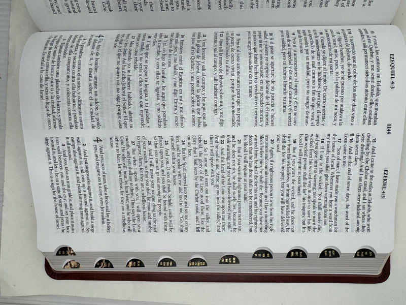 Biblia Bilingüe Reina Valera 1960 (ESV) letra grande símil piel marrón con índice/ Bilingual Bible RVR 1960 (ESV) Large Print Brown Leathersoft with Thumb