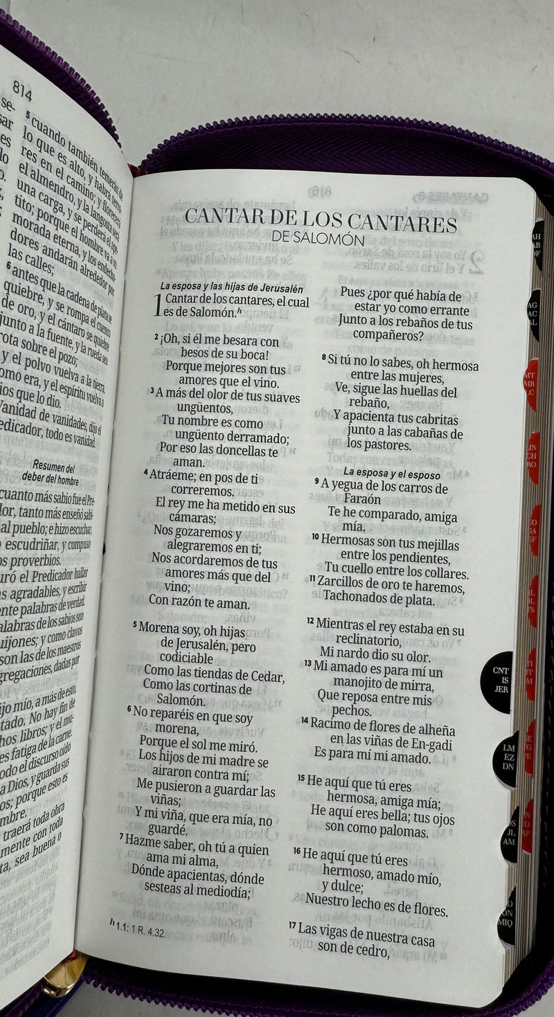 Biblia chequera reina valera 1960 tres colores cierre indice agarradera