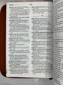 Biblia arco iris letra gigante camelo reina valera 1960 similpiel con cierre indice