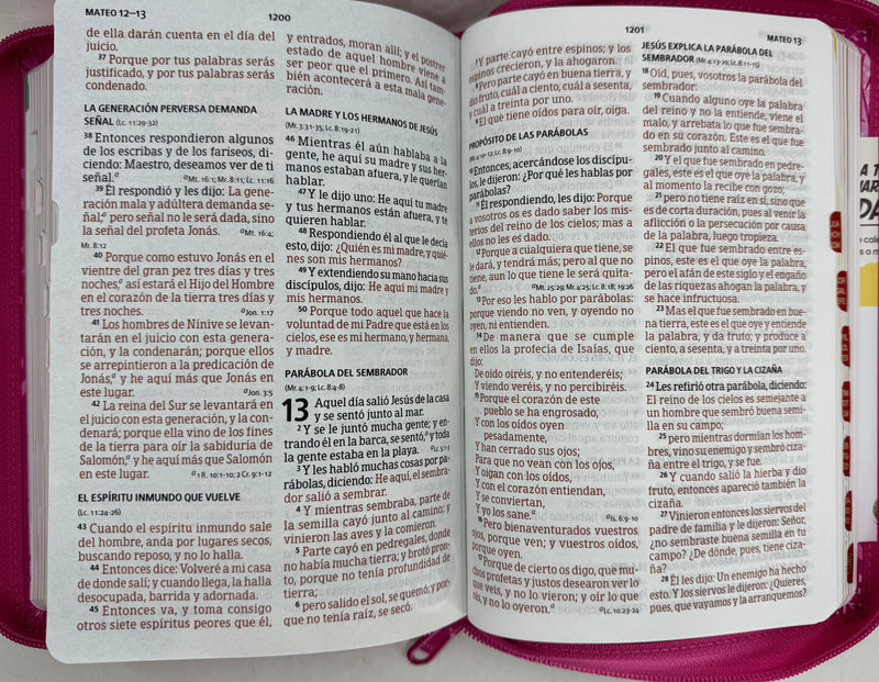 Biblia para ninas letra grade interactiva  RV1960 Rosa ciere con indice