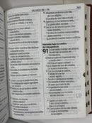 Biblia Reina Valera 1960 Letra Súper Gigante Piel Color Marrón con Índice