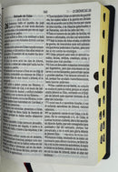 Biblia Letra Grande RVR.1960 Manual Ser Un Discípulo Imit.Piel Azul Marino Index