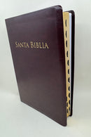 Biblia purificada letra grande valera 1602