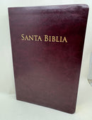 Biblia purificada letra grande valera 1602