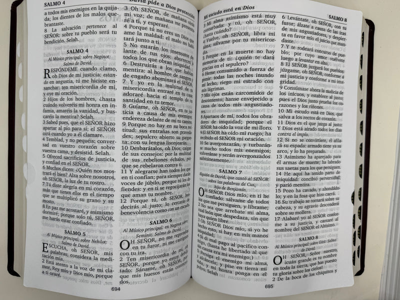 Biblia purificada letra grande valera 1602