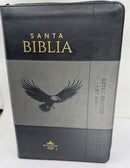 Biblia Letra Grande 12 Puntos Rv1960 Águila Negro Gris Índice