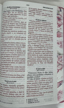 Biblia letra grande para mujer 12 puntos Reina Valera 1960 canto pintado mariposa