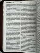 Biblia letra gigante 19 puntos  Reina Valera 1960  café clásica cierre indice