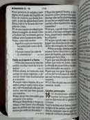 Biblia letra gigante 19 puntos  Reina Valera 1960  café clásica cierre indice
