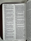 Biblia letra gigante 19 puntos  Reina Valera 1960  café clásica cierre indice