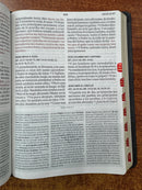 RVR 1960 Biblia de estudio letra gigante, negro, símil piel con índice (RVR 1960 Giant print study Bible, black, LeatherTouch, indexed