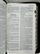 Biblia Reina Valera 1909 reformada negro  indice y cierre