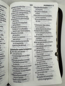 Biblia letra gigante 14 puntos café Apocalipsis