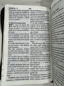 Biblia letra gigante 14 puntos café Apocalipsis