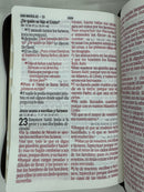 Biblia letra gigante 14 puntos café Apocalipsis