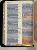 Biblia de estudio arcoíris letra gigante 14 puntos ríena Valera 1960 con cierre indice