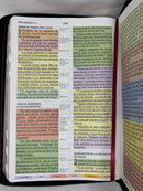 Biblia de estudio arcoíris letra gigante 14 puntos ríena Valera 1960 con cierre indice