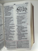 Biblia De Estudio Dios Habla Hoy Con Deuterocanónicos piel imitacion