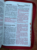 Biblia Letra Gigante de 14 Puntos Rojo RVR 1960 : Imit. Piel con Cierre, índice,