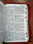 Biblia Letra Gigante de 14 Puntos Rojo RVR 1960 : Imit. Piel con Cierre, índice,