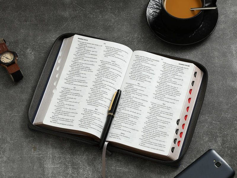 Biblia con Cierre Letra Grande 12 puntos RV1960 imit piel tricolor marrón/gris/con indice