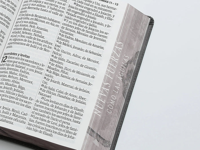 Biblia Letra Súper Gigante 19 puntos Mediana RV1960 imit piel negro águila y canto con mensaje