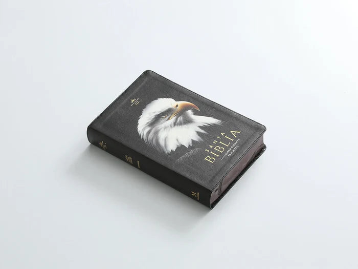 Biblia Letra Súper Gigante 19 puntos Mediana RV1960 imit piel negro águila y canto con mensaje