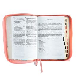 Biblia RV 1960 letra grande 12 puntos  Imitacion Piel, Tamaño Manual, Con Cierre e Indice,  Crema