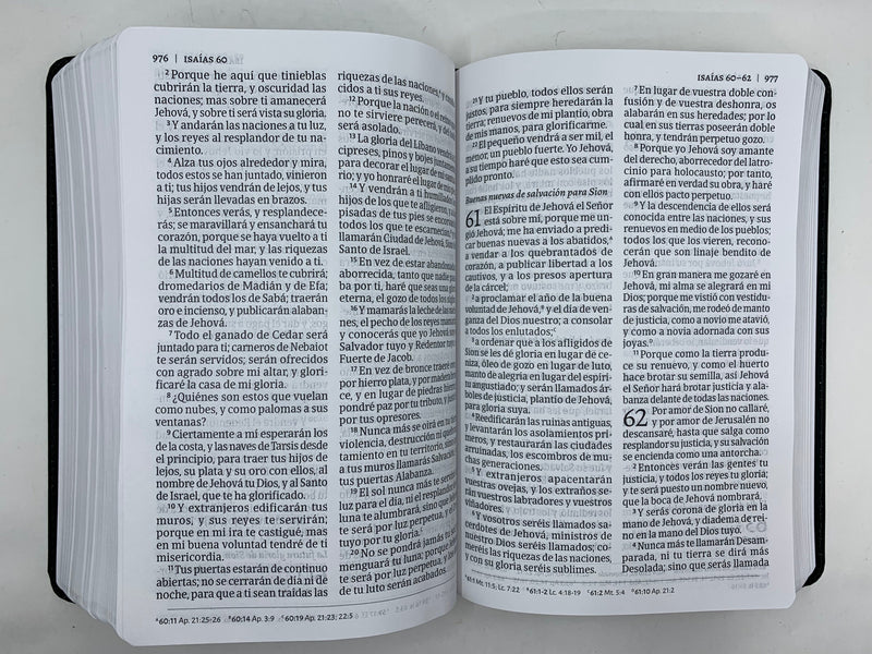 Biblia del ministro letra grande ampliada  reina Valera  1960 piel fabricada 12 puntos