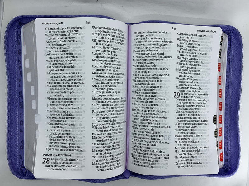 Biblia para mujer letra grande 12 puntos reina valera 1960  lavanda cierre indice