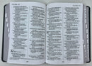 Biblia NTV letra gigante tamaño manual gris con índice