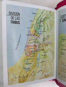 Biblia para jovencitas tamaño bolsillo rv1960 fucsia Lilia búho 8 puntos