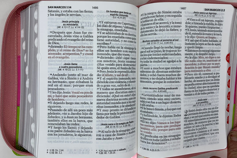 Biblia con Cierre Compacta 11 puntos RV1960 imit tricolor rosa/fucsia/lima con índice