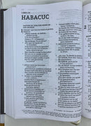 Bíblia nueva de las americas letra supergigante 14 PUNTOS TELA GRIS NBLA