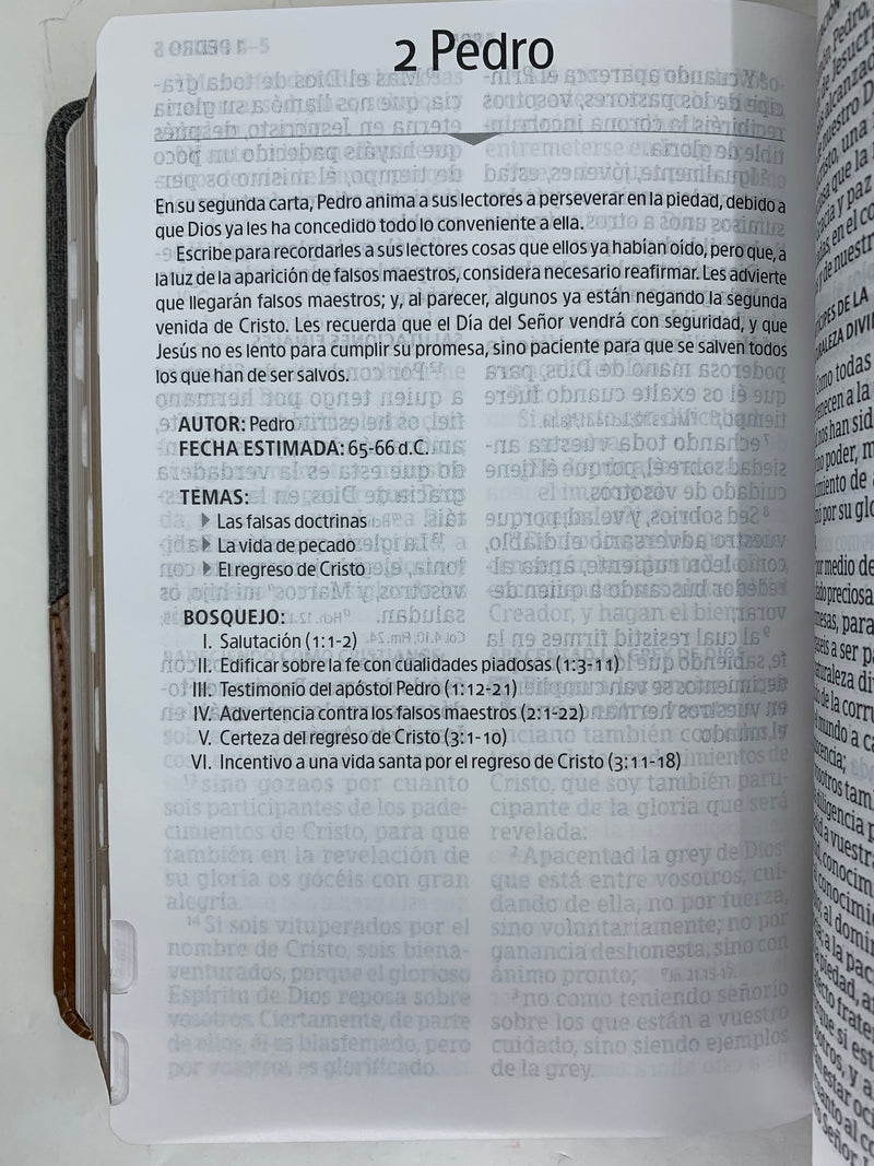 Biblia de letra gigante tamaño manual 14 punto rv1960 similpiel índice