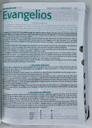 Bíblia de estudio esquematizada riena Valera 1960 piel imitacion con  indcie